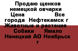 Продаю щенков немецкой овчарки › Цена ­ 5000-6000 - Все города, Нефтекамск г. Животные и растения » Собаки   . Ямало-Ненецкий АО,Ноябрьск г.